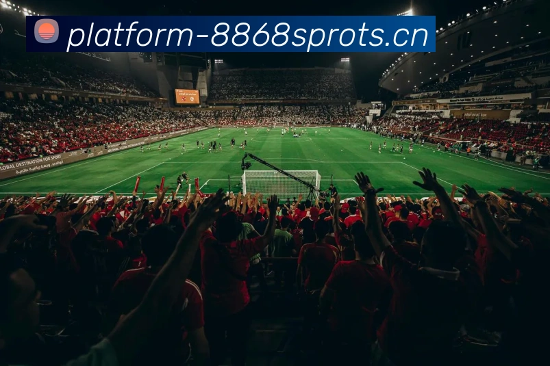 8868体育APP 封面图